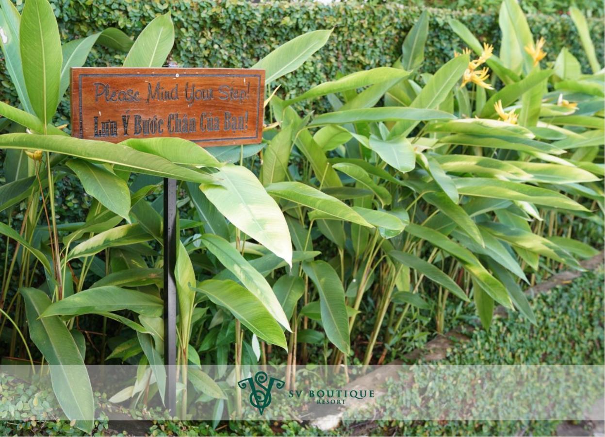 Sv Boutique Resort Vũng Tàu Exterior foto